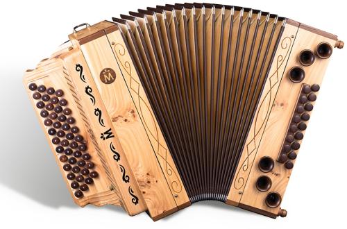 Feld-Ulme von Müller Harmonika