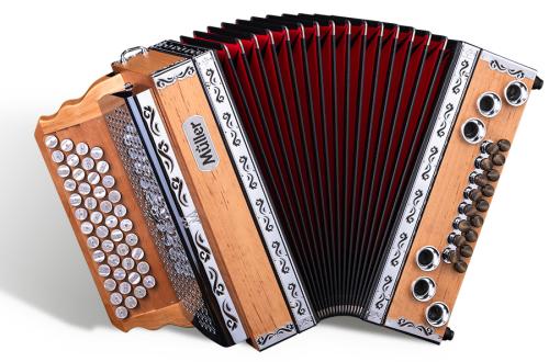 Dachstein von Müller Harmonika