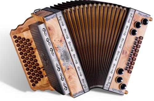 Feld-Ulme von Müller Harmonika