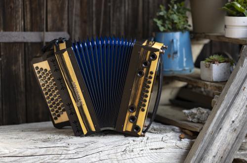 Grand Edelholz Makassar von Sammer Harmonika