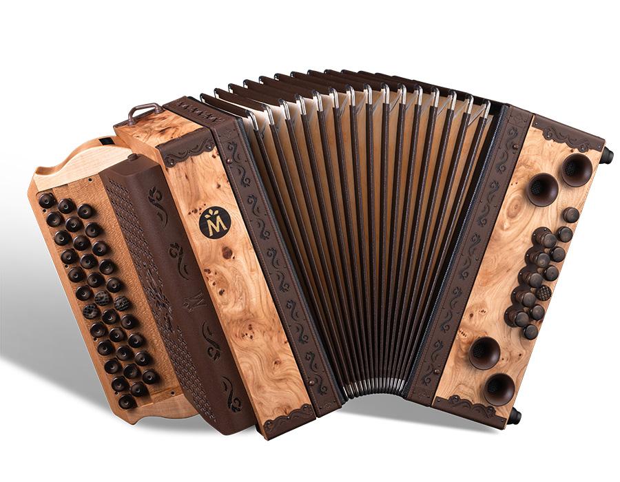 Rüster von Müller Harmonika