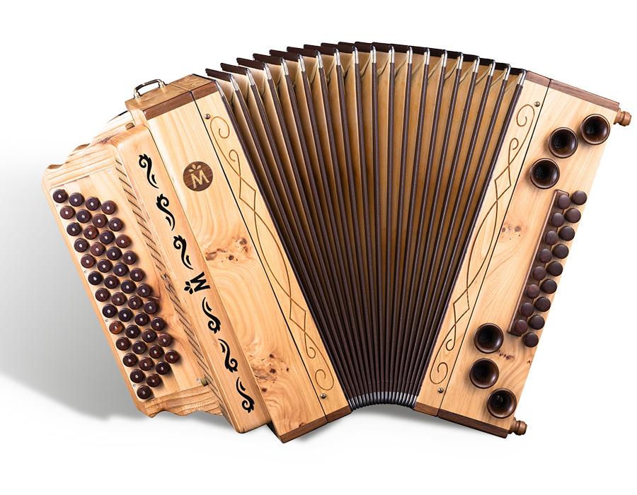 Feld-Ulme von Müller Harmonika