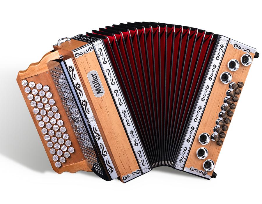 Dachstein von Müller Harmonika
